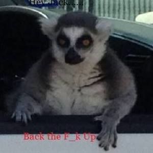 Meet your Posher, Buck