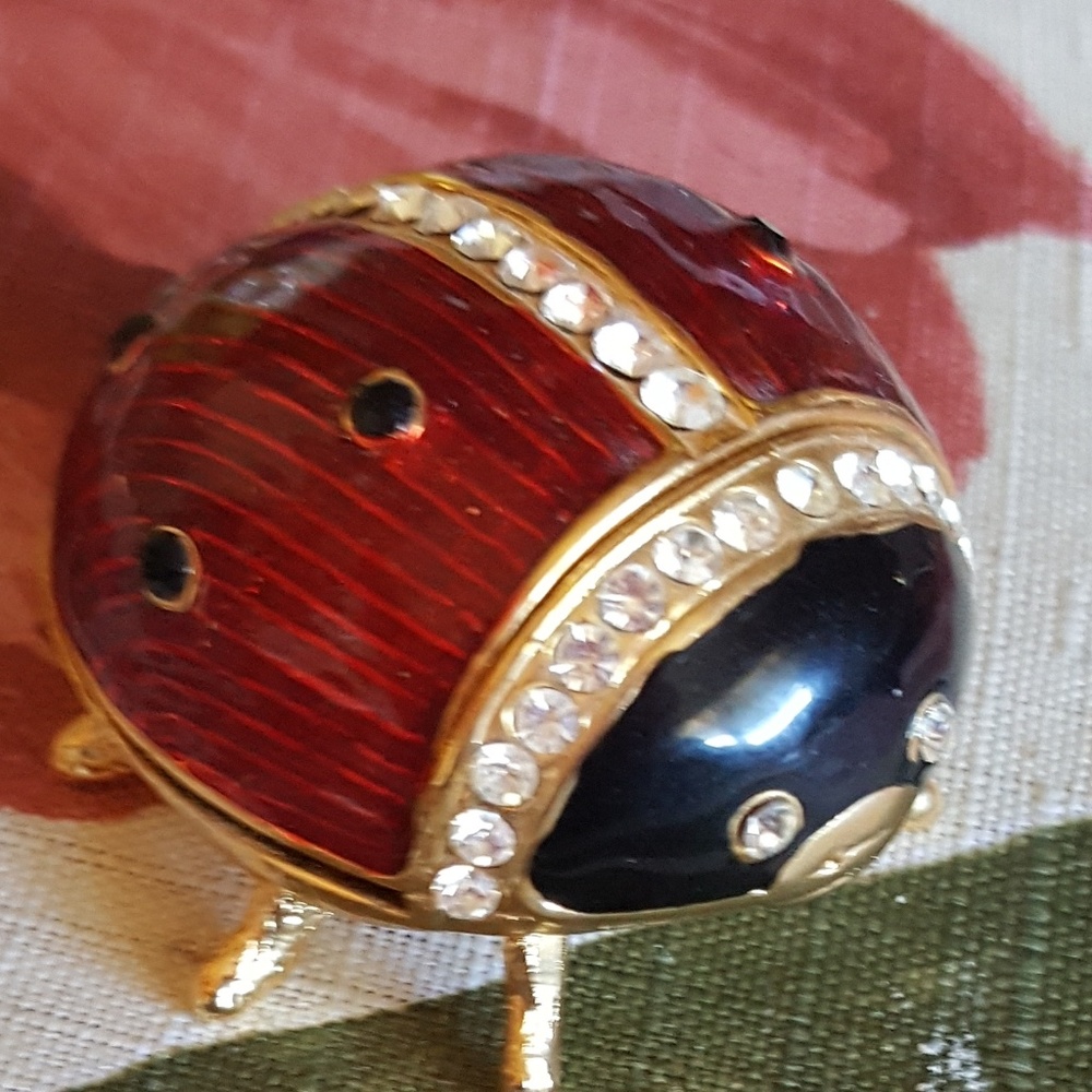 Ladybug Jewelry Keeper w/Necklace