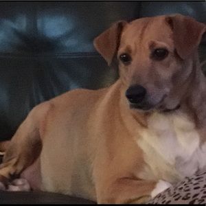 Meet your Posher, Gary