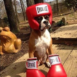 Meet your Posher, Chris