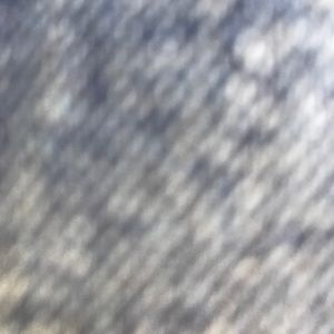 Meet your Posher, Alfonzo