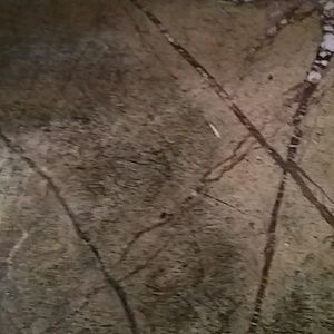 Meet your Posher, Ben