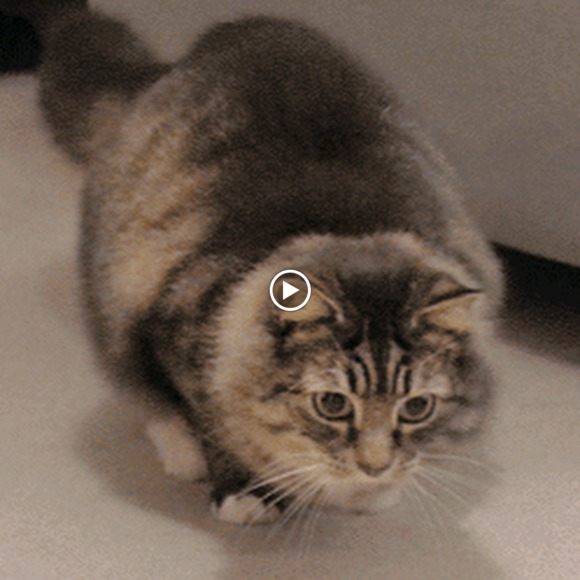 Meet your Posher, Caroline - Picture 1 of 1