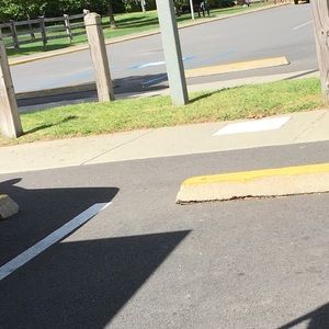 Meet your Posher, Toni