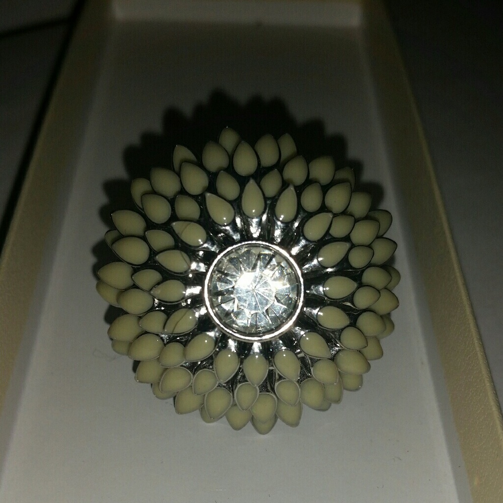 Ann Taylor Classic