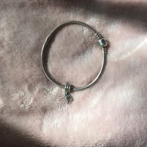Sterling Silver Pandora Bracelet with Charm