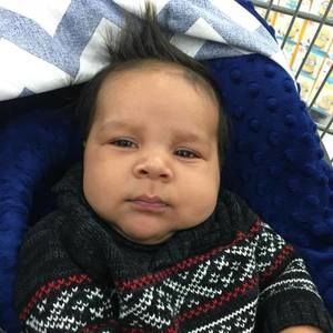 Meet your Posher, Tara