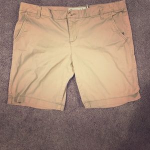 khaki shorts