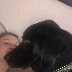 Meet your Posher, Alice