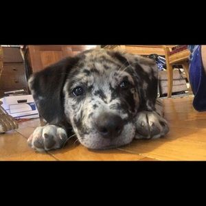 Meet your Posher, Andrew