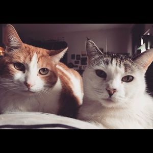 Meet your Posher, Marilyn