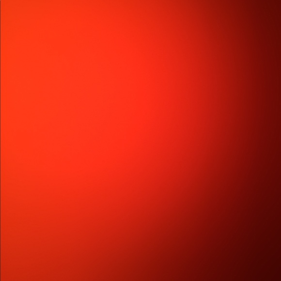 Meet your Posher, Quinn - Picture 1 of 1