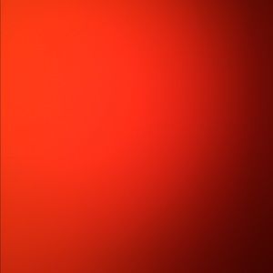 Meet your Posher, Quinn