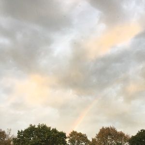 Meet your Posher, Sophia