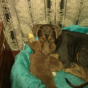 Meet your Posher, Gary