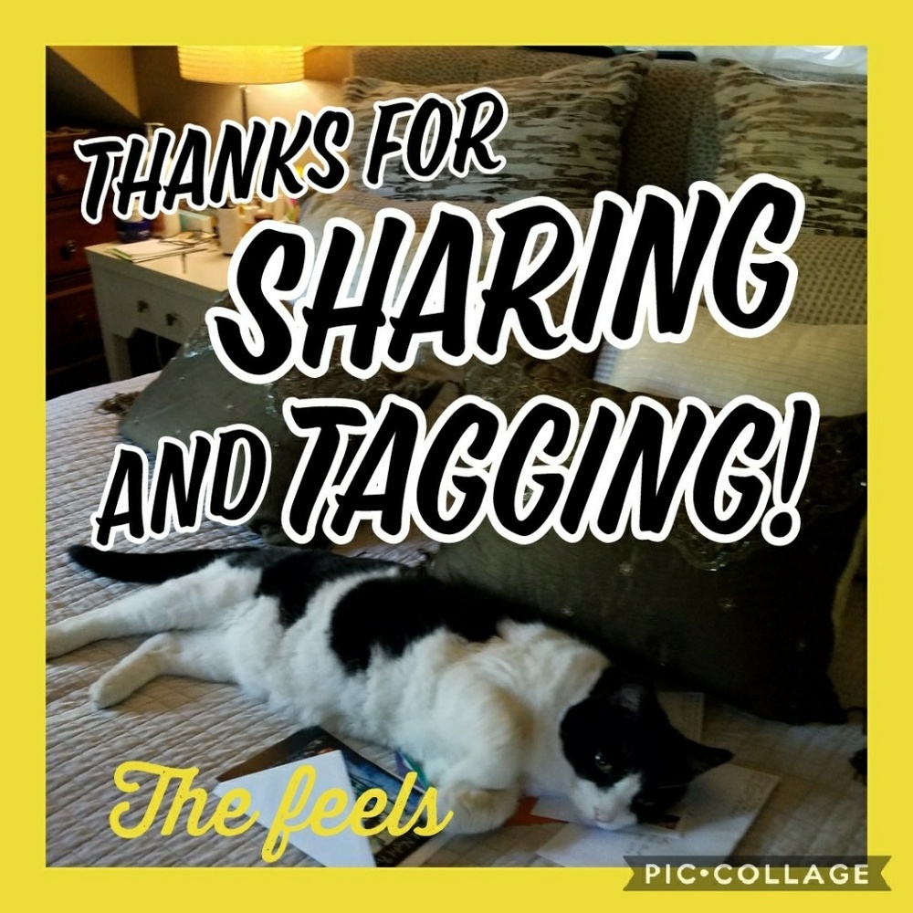 Thanks! For spreading the love!