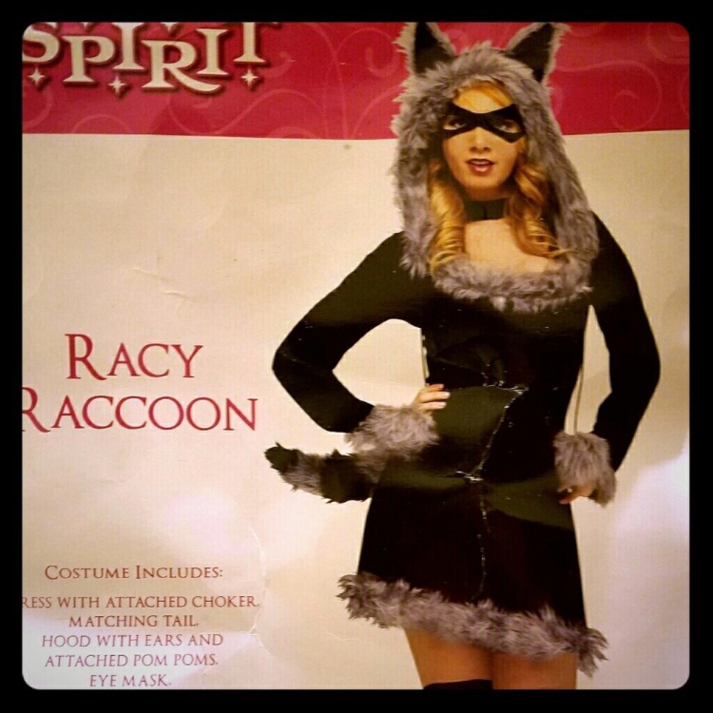 Racy raccoon costume, med/large