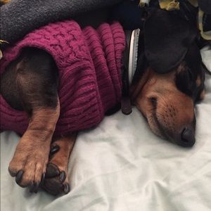 Meet your Posher, Nick