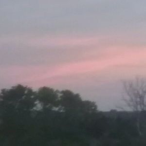 Meet your Posher, Anja