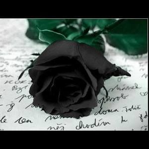 Meet your Posher, Alexandra cassandra