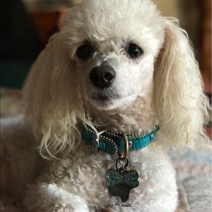 Meet your Posher, Cindy