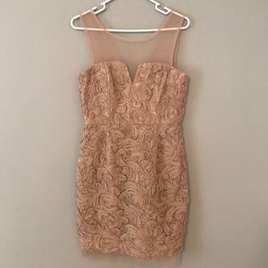 BCBGMAXAZRIA Champagne Dress with Mesh Size 10 BCBGMAXAZRIA Champagne Dress with Mesh Size 10