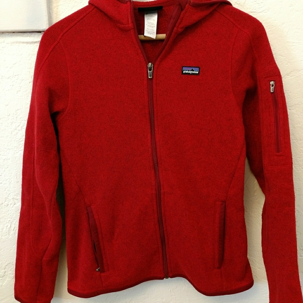 Patagonia Better Sweater Hoody