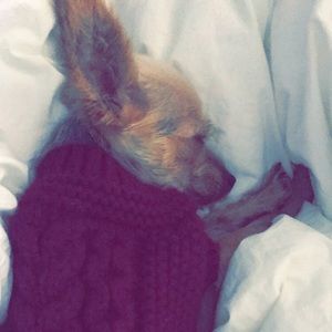 Meet your Posher, Lexi