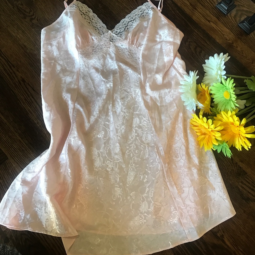 Gorgeous Pale Pink Adonna Slip, Sz L