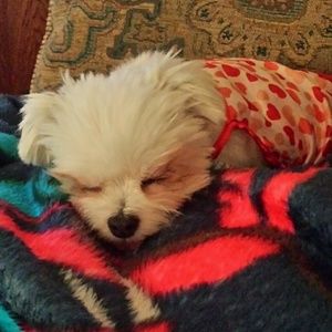 Meet your Posher, Mitzi