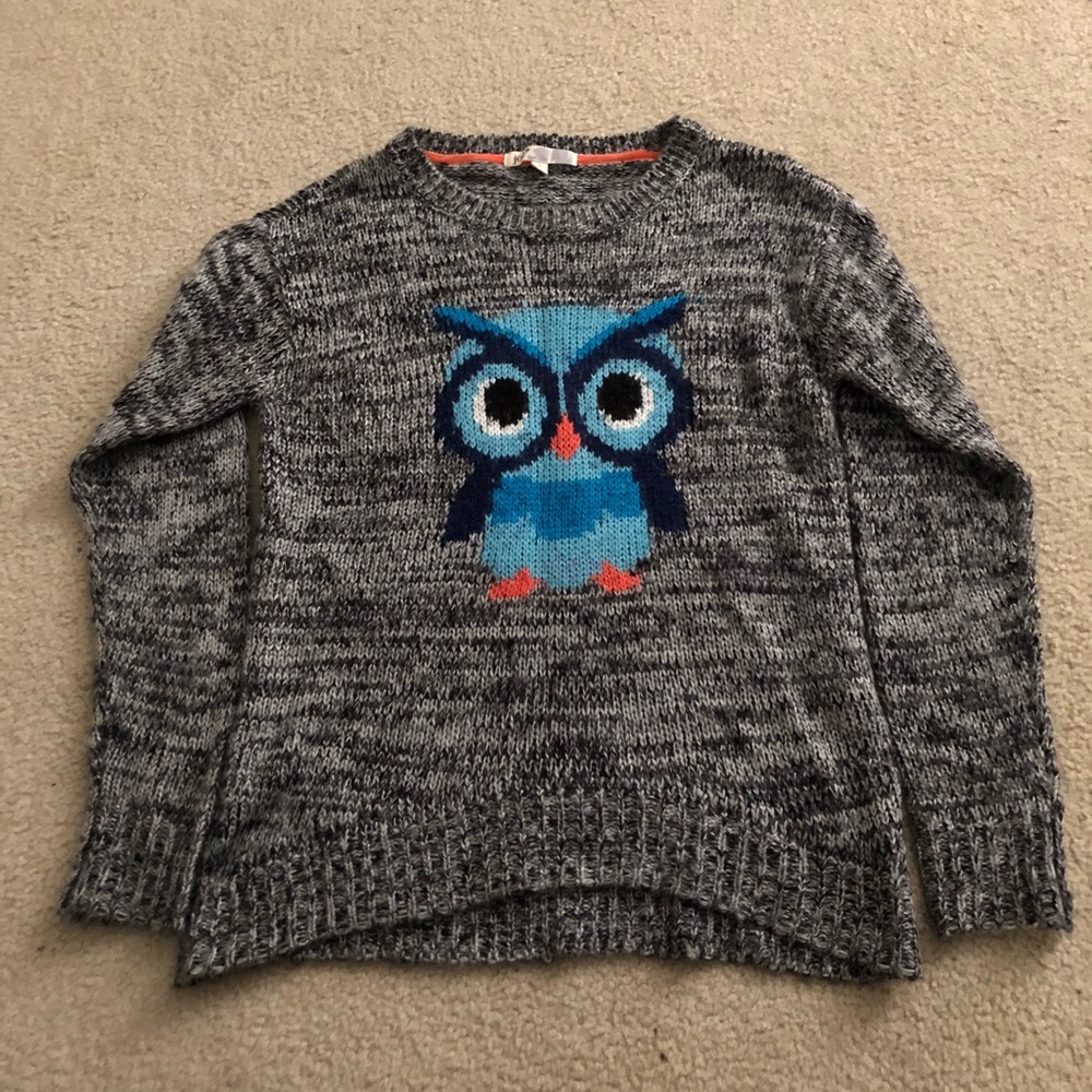 Owl knit sweater