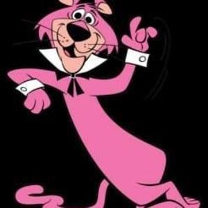 Meet your Posher, Shelley