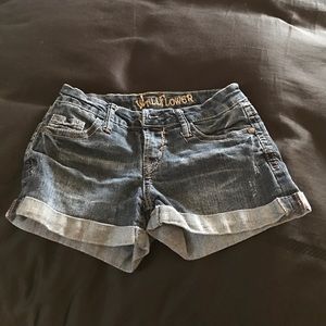 Junior shorts