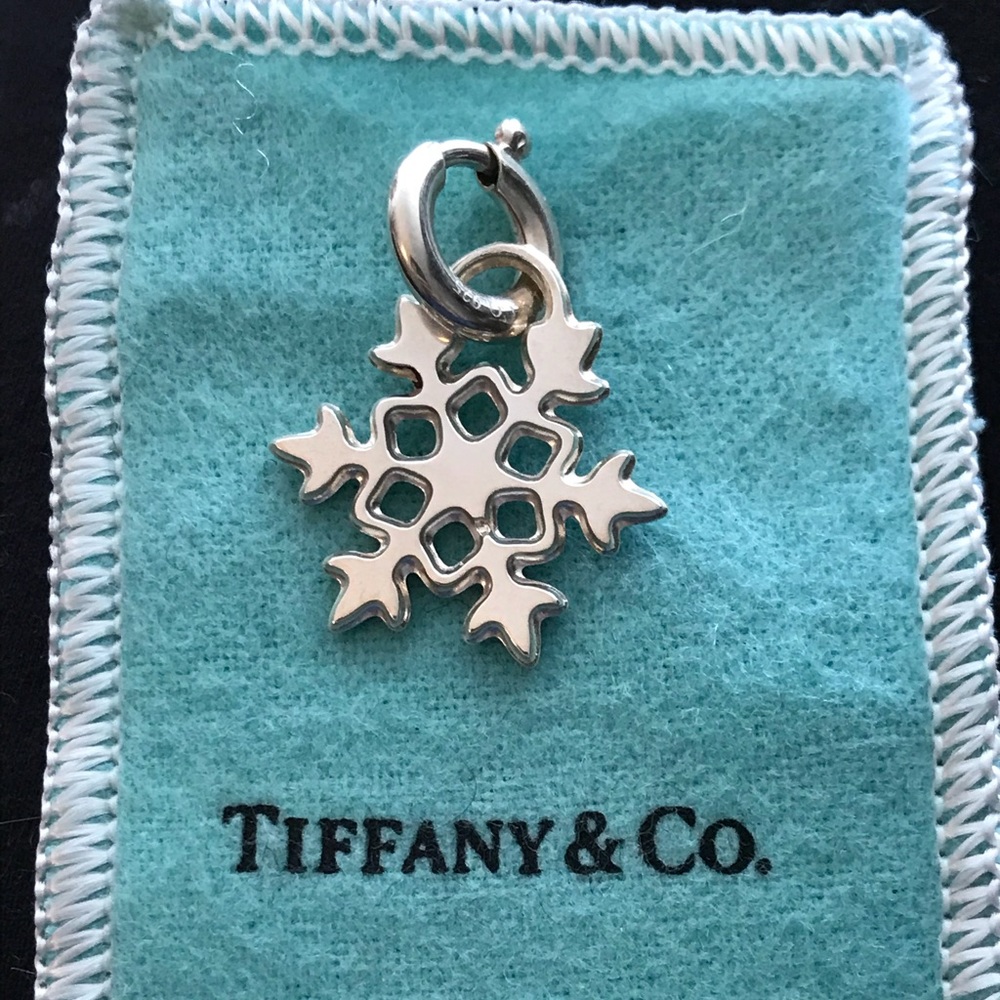 Tiffany & Co. Silver Snowflake Charm Circle Clasp