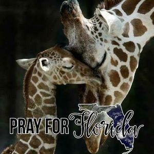 Meet your Posher, Jeanne