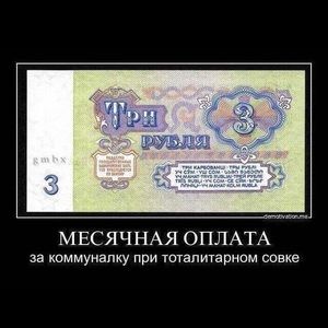 Meet your Posher, Lea