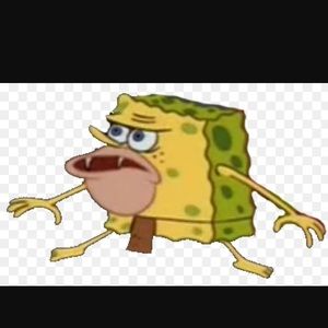 Meet your Posher, Eva