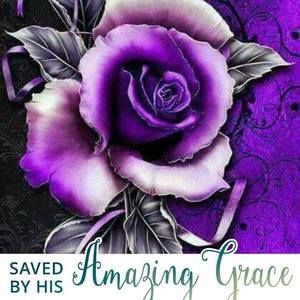 Meet your Posher, Lynn