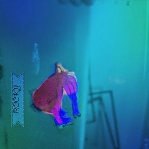 Meet your Posher, Nallely