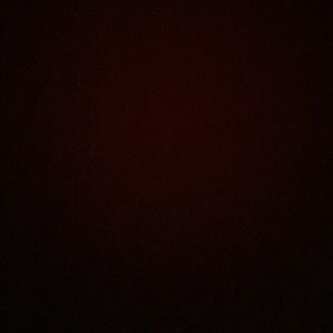 Meet your Posher, Bella