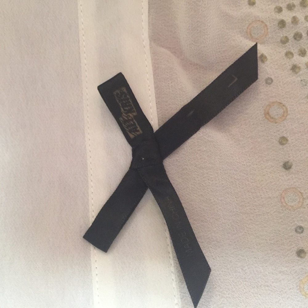 Sheer Buttoned Blouse - Picture 5 of 5