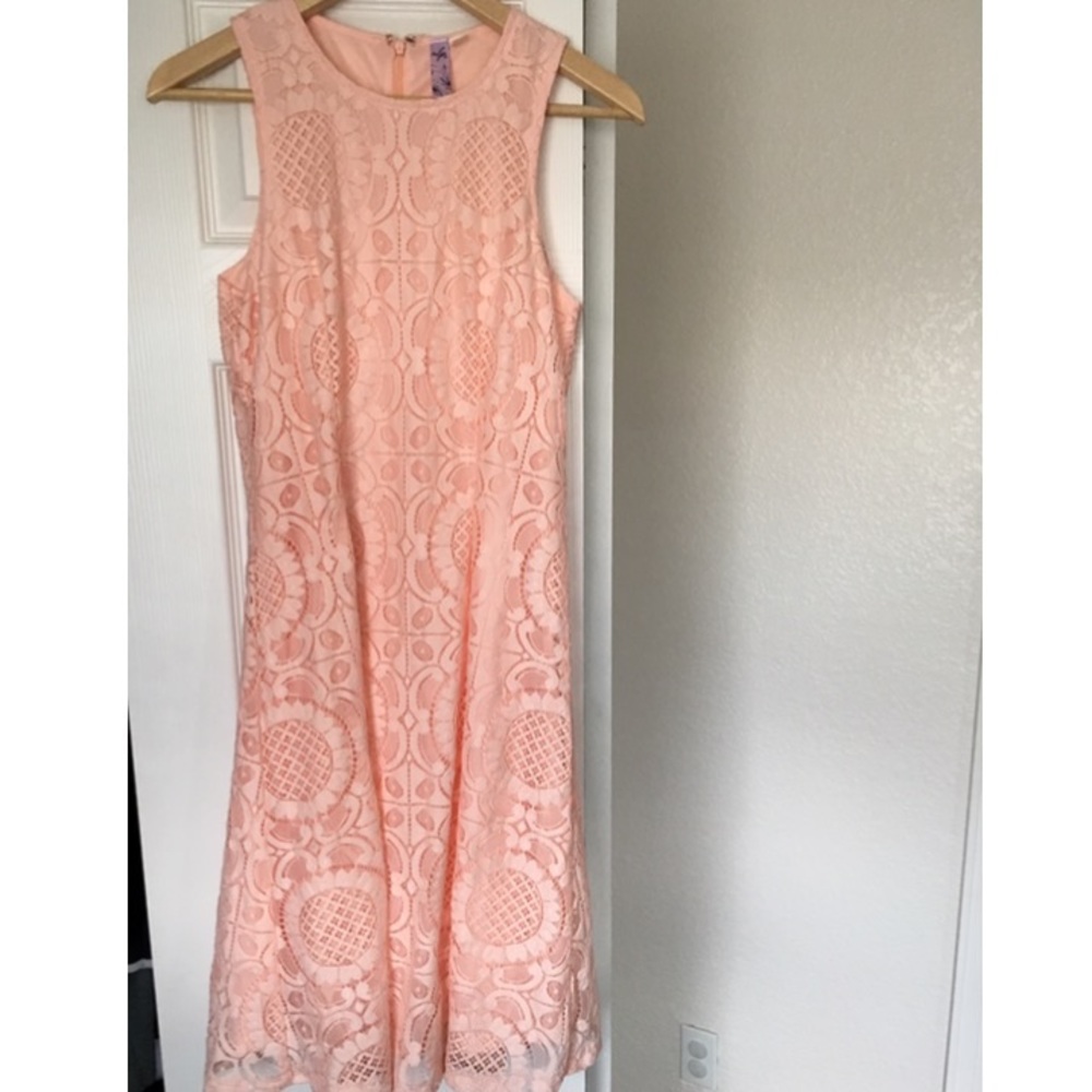 Vintage Style Pink Lace Sleeveless Dress