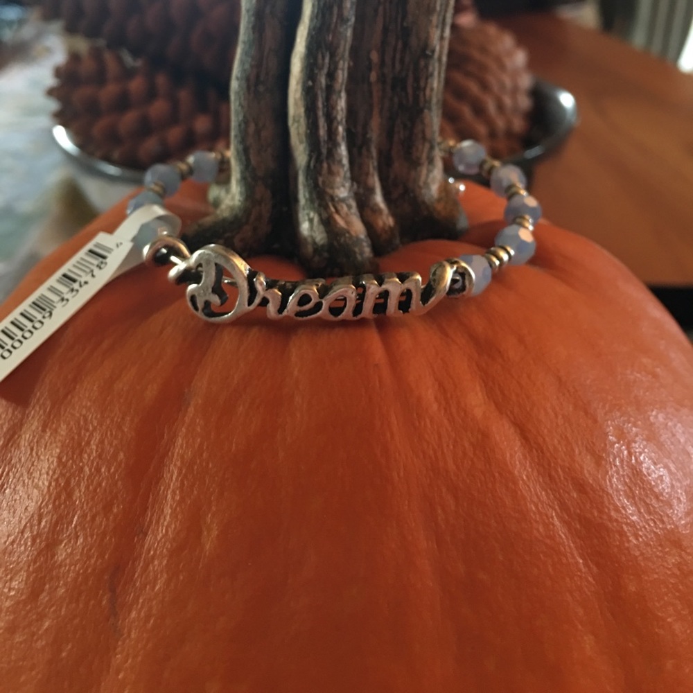 Authentic Alex and Ani Dream Disney Wrap