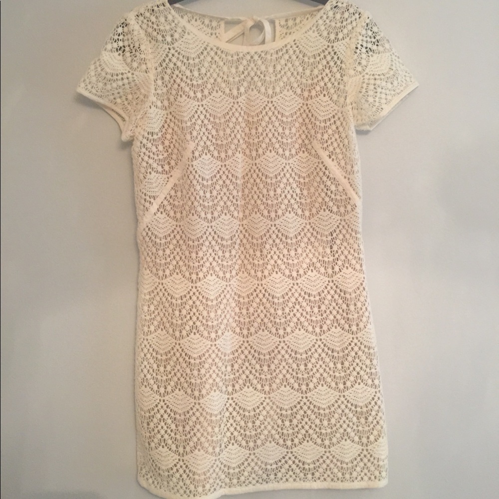 Ann Taylor Loft Cream Lace Dress
