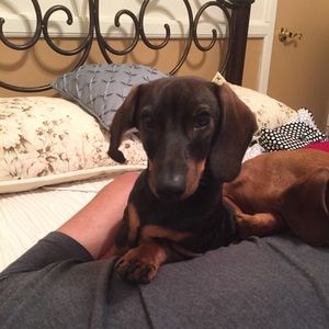 Meet your Posher, Bertha