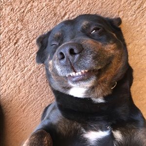 Meet your Posher, Elias