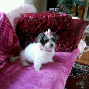 Meet your Posher, Paulette