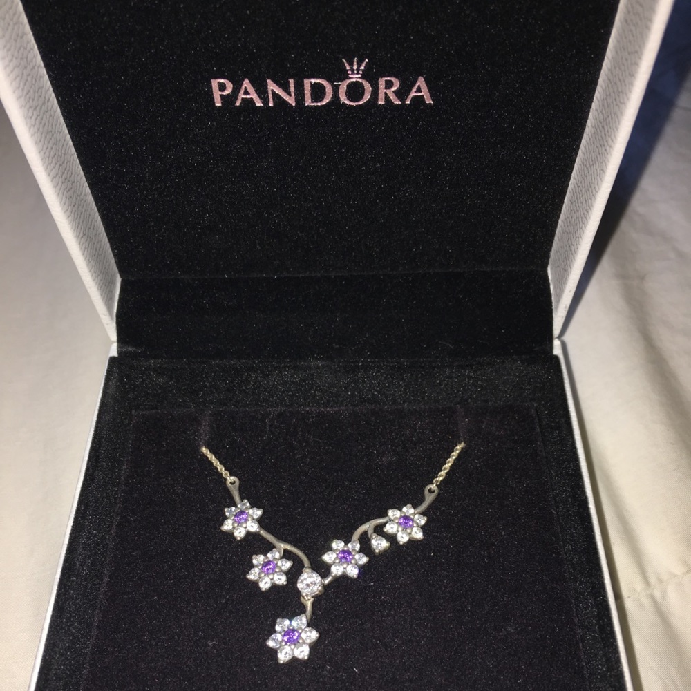 Pandora necklace