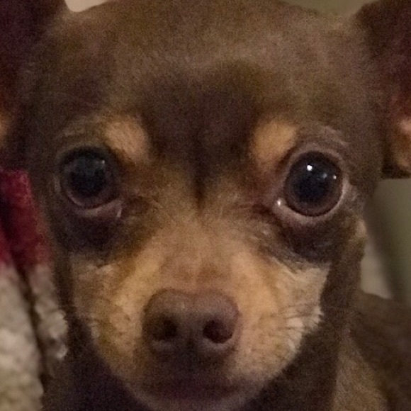 Meet your Posher, Julian - Picture 1 of 1