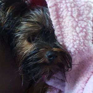 Meet your Posher, Jen